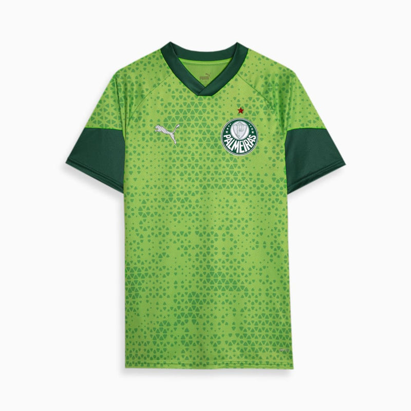 Camisa Palmeiras Treino e Viagem 24/25 - Torcedor Masculina - Verde