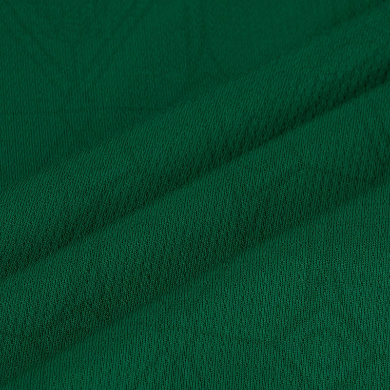 Camisa Palmeiras I 25/26 - Torcedor Masculina - Verde e Branco